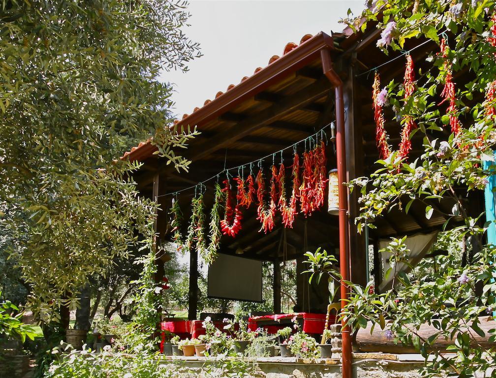 Hotel Stonehouse Selcuk Exteriér fotografie
